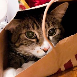 Meet your Posher, Po yan